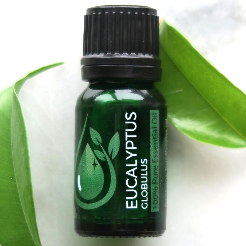 100% pure Eucalyptus Globulus Essential Oil